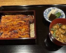 Dinner at Yamasei (山勢)