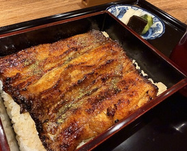 Dinner at Yamasei (山勢)