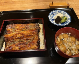 Dinner at Yamasei (山勢)