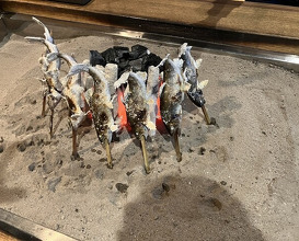 Dinner at Yanagiya (柳家)