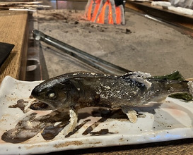 Dinner at Yanagiya (柳家)