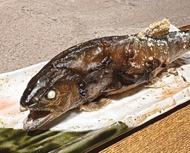 Dinner at Yanagiya (柳家)
