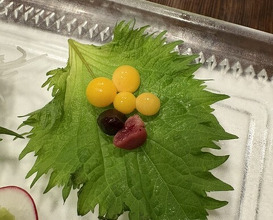 Dinner at Yanagiya Nishiki (柳家錦)