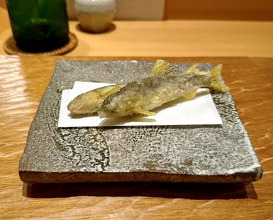 Dinner at Yoshii (吉い)