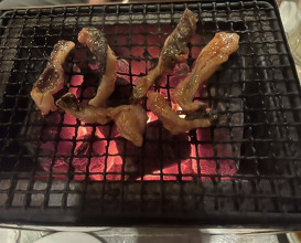 Dinner at Sumibi Yaki Yuji (炭火焼 ゆうじ)