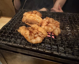 Dinner at Sumibi Yaki Yuji (炭火焼 ゆうじ)