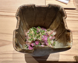Dinner at Zaisho