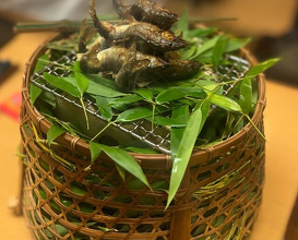 Dinner at Zeshin (是しん)