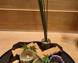Dinner at Zeshin (是しん)
