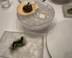 Dinner at ZURRIOLA (スリオラ)