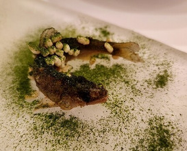 Dinner at ZURRIOLA (スリオラ)