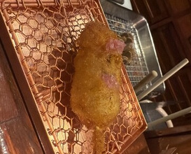 Dinner at Kushi Katsu A-bon (串かつ あーぼん)