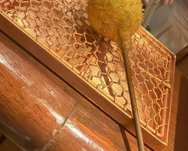 Dinner at Kushi Katsu A-bon (串かつ あーぼん)