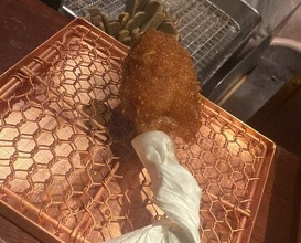 Dinner at Kushi Katsu A-bon (串かつ あーぼん)