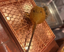 Dinner at Kushi Katsu A-bon (串かつ あーぼん)