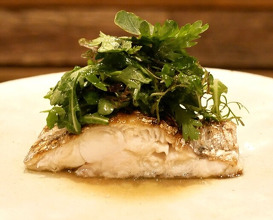 Dinner at acá