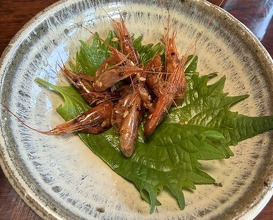 Dinner at Ame Gen (飴源)