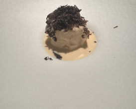 Dinner at Ao