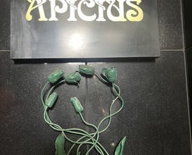 Dinner at APICIUS