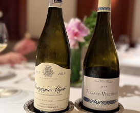 Dinner at APICIUS
