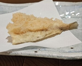 Dinner at Tempura Asanuma (天ぷら浅沼)