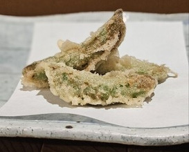 Dinner at Tempura Asanuma (天ぷら浅沼)