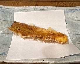 Dinner at Tempura Asanuma (天ぷら浅沼)
