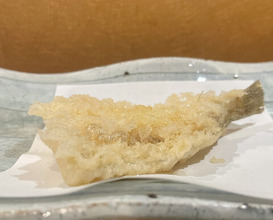 Dinner at Tempura Asanuma (天ぷら浅沼)