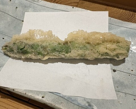 Dinner at Tempura Asanuma (天ぷら浅沼)
