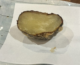 Dinner at Tempura Asanuma (天ぷら浅沼)