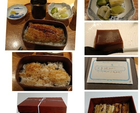 Dinner at Sangubashi Asaya