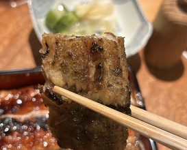 Dinner at Sangubashi Asaya
