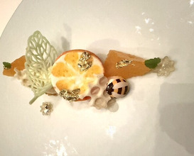 Dinner at French Restaurant AZUR et MASA UEKI (AZUR et MASA UEKI)