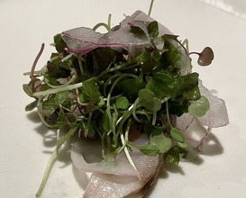 Dinner at bb9