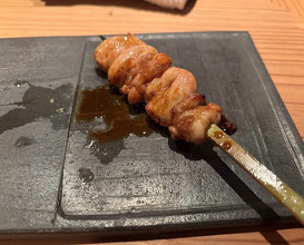 Dinner at Tori Chataro (とり茶太郎)