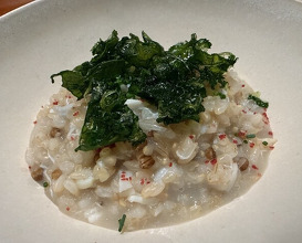 Dinner at Chisou Nishikenichi