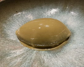 Dinner at Chisou Nishikenichi
