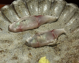 Dinner at Chisousottakuito (馳走 啐啄一十 )