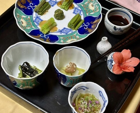 Dinner at Dewa Ya (出羽屋)