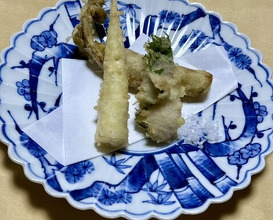 Dinner at Dewa Ya (出羽屋)