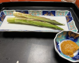Dinner at Dewa Ya (出羽屋)