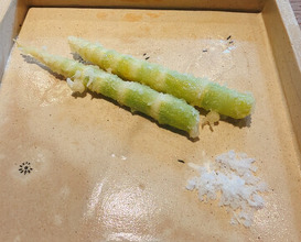 Dinner at Dewa Ya (出羽屋)