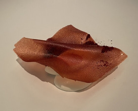 Dinner at ESqUISSE (エスキス)
