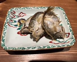 Dinner at Japanese Cuisine FUJI