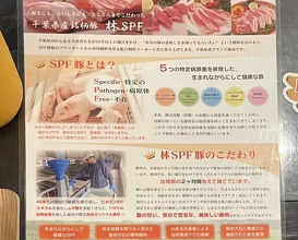 Dinner at Tonkatsu Fujii (とんかつ ふじ井)