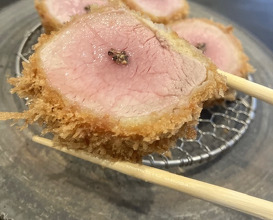 Dinner at Tonkatsu Fujii (とんかつ ふじ井)