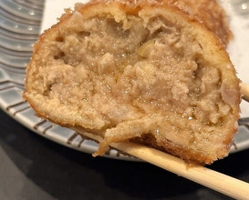 Dinner at Tonkatsu Fujii (とんかつ ふじ井)