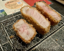 Dinner at Tonkatsu Fujii (とんかつ ふじ井)