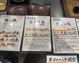 Dinner at Tonkatsu Fujii (とんかつ ふじ井)