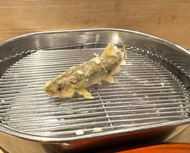 Dinner at Tempura Fukamachi (てんぷら 深町)